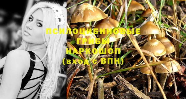 герыч Абаза