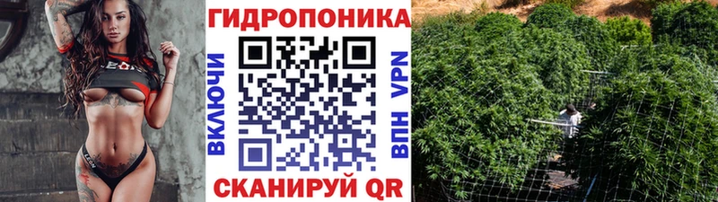 дарнет шоп  Архангельск  Каннабис VHQ 